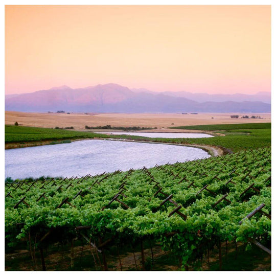 New wave South Africa – St Margarets Wednesday 15th May