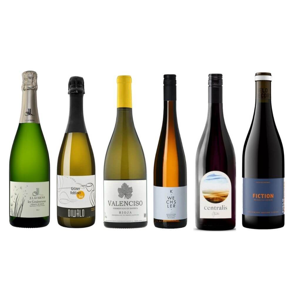 Holiday Party - Mixed Case