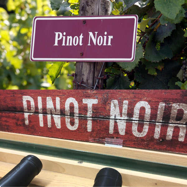 Pinot Noir: France vs Rest of the World - Teddington Thursday 20th June
