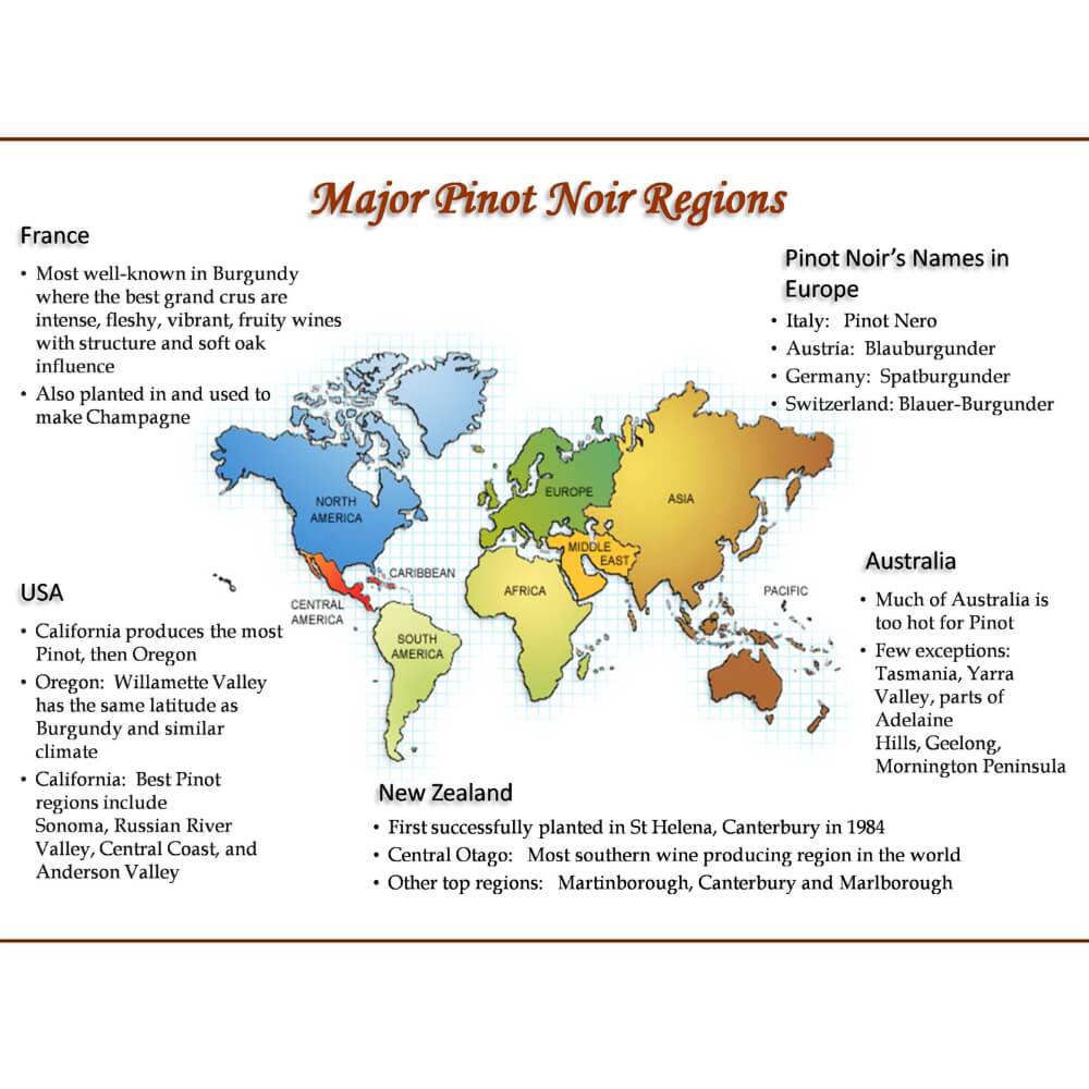 Pinot Noir around the world Chiswick The Good Wine Shop