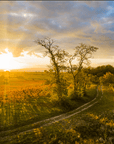 Winemaker Dinner with Markus Lentsch – 16th May 2024