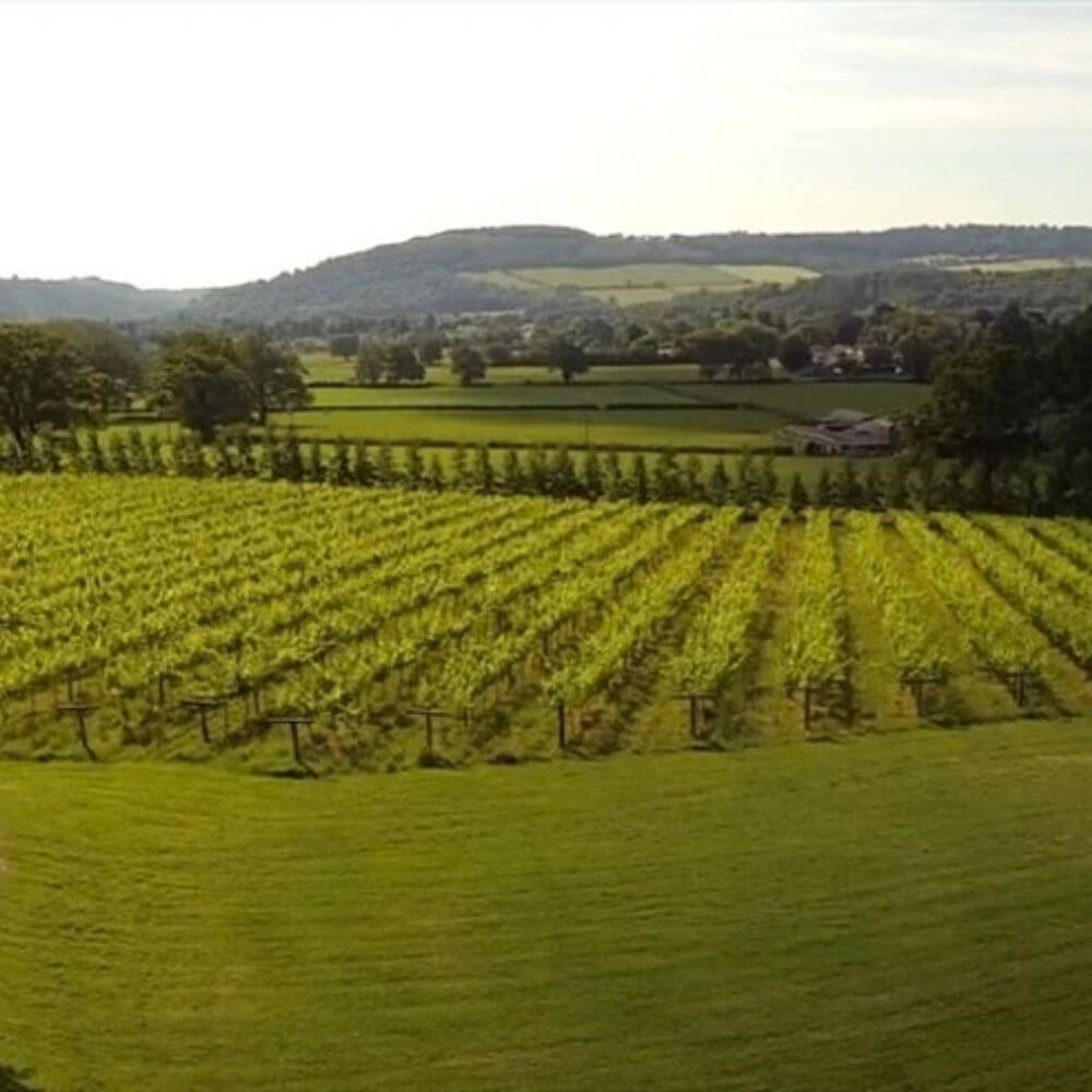 Meet the Winemaker: ... of Ancre Hill - Chiswick Wednesday 18th Nov 2026
