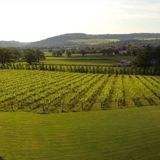 Meet the Winemaker: ... of Ancre Hill - Chiswick Wednesday 18th Nov 2026