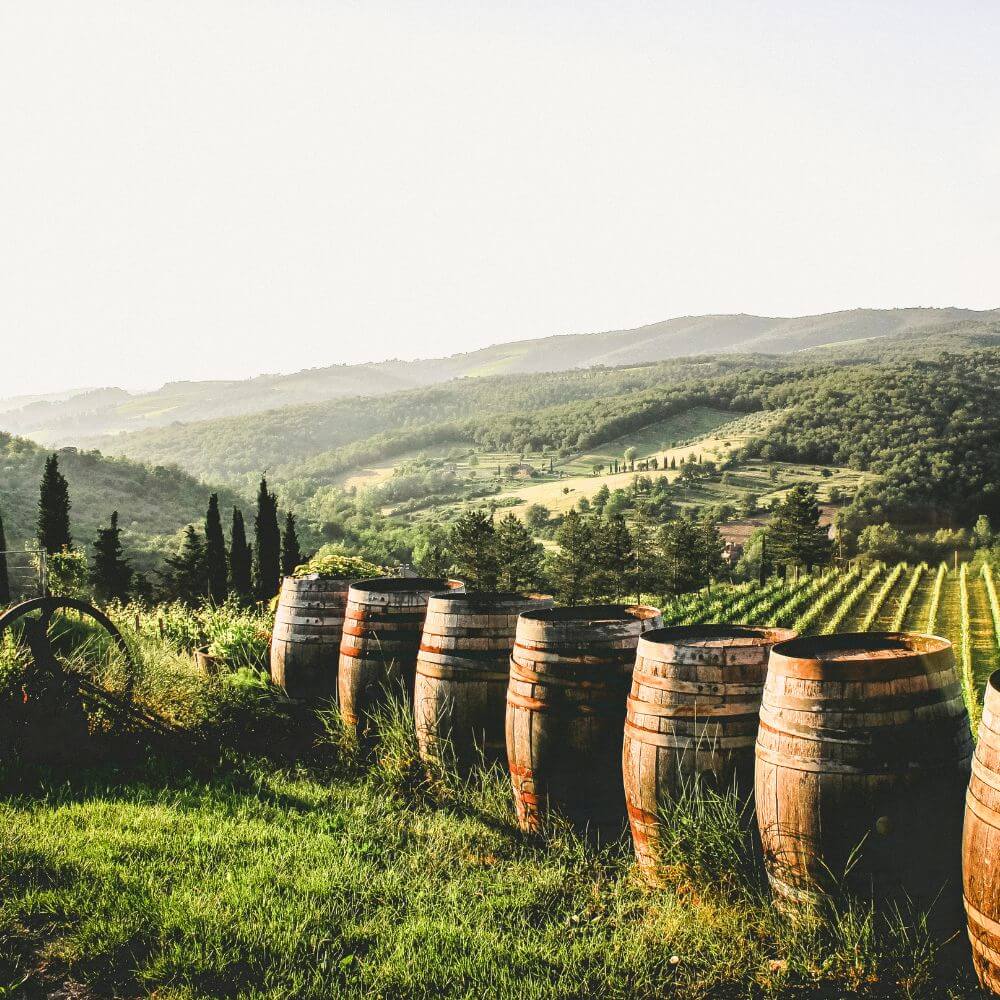 Eastern France: Burgundy, Beaujolais and Beyond - Kew Thursday 16th July 2026