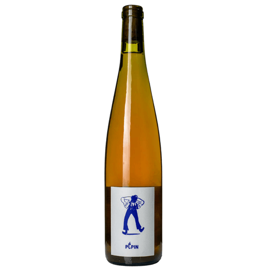 Achillee, Pepin Orange NV