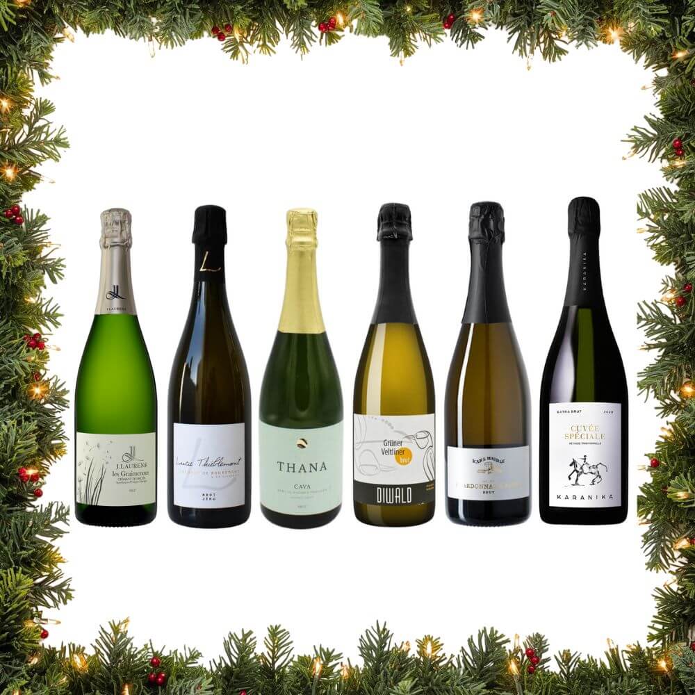 Sparkling Discovery Case