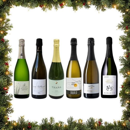 Sparkling Discovery Case