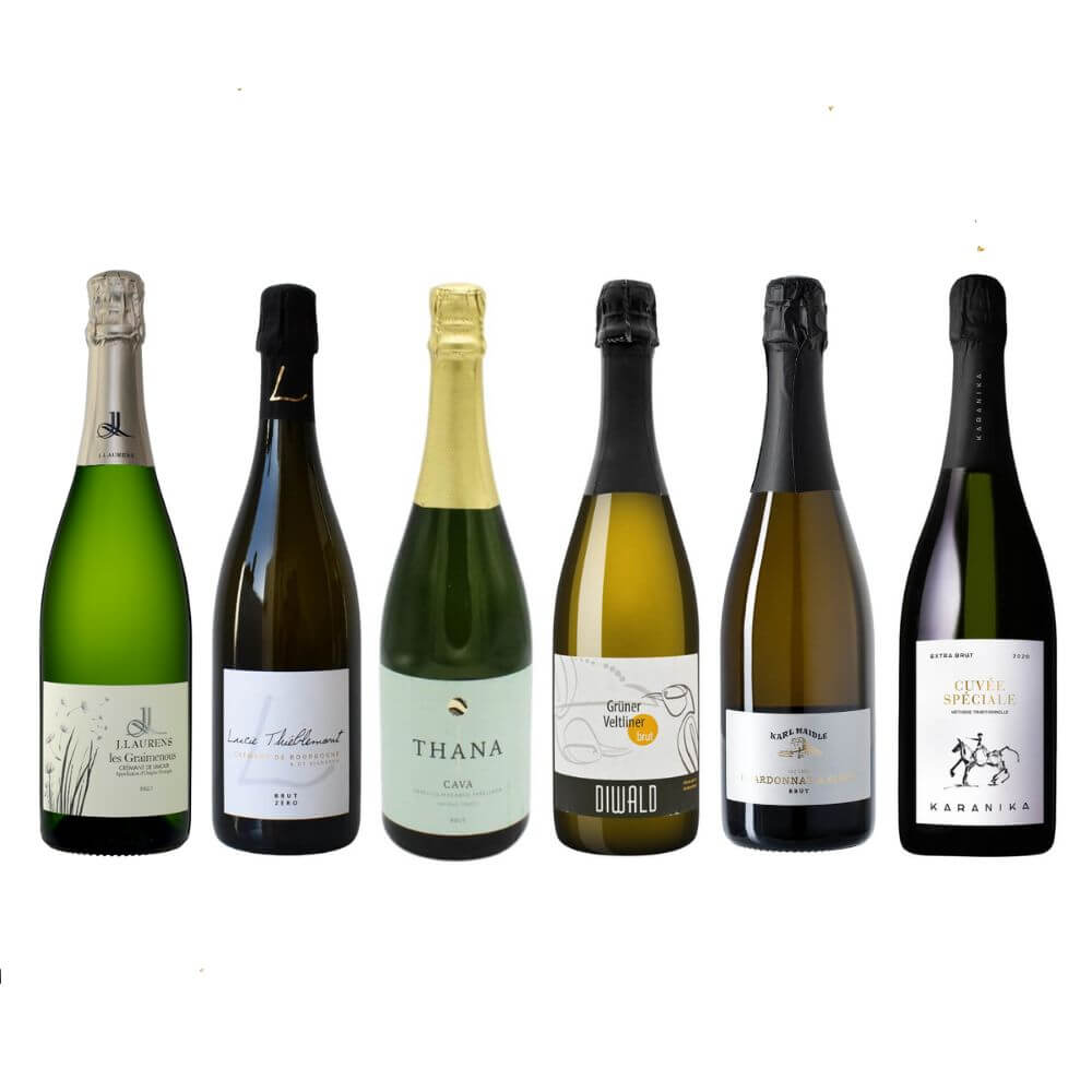 Sparkling Discovery Case