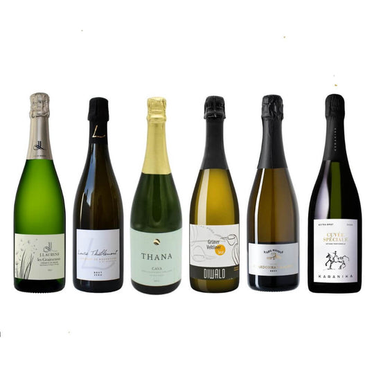 Sparkling Discovery Case