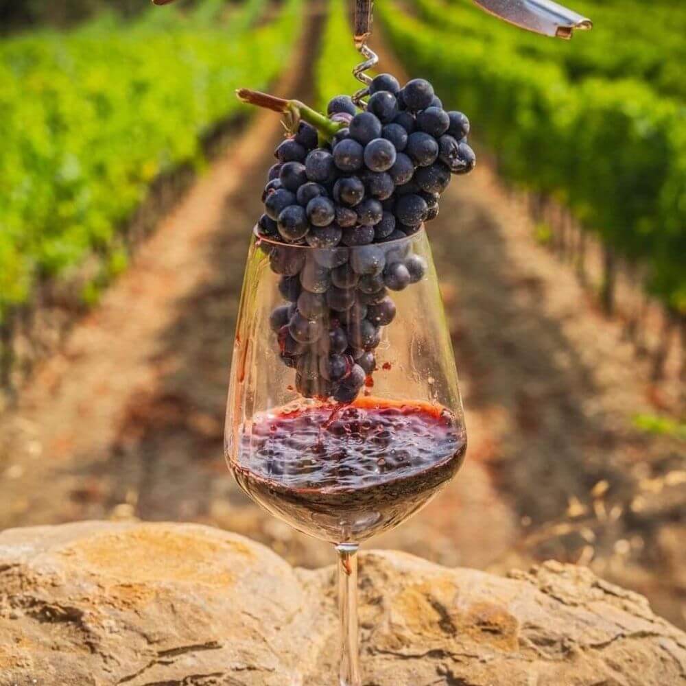 Bordeaux Vs The World - Chiswick Thursday 22nd Oct 2026