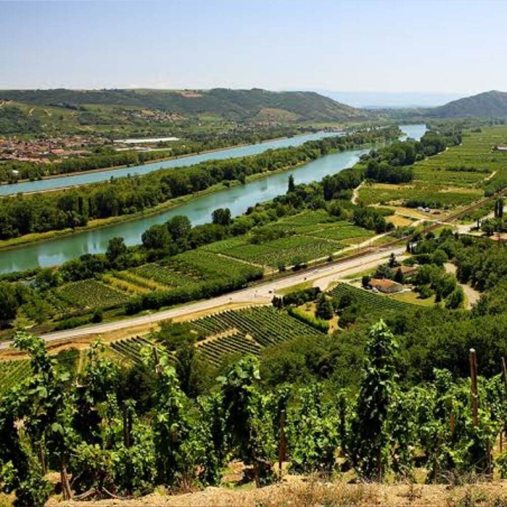 Rhône Top to Toe - Teddington Thursday 29th Oct 2026