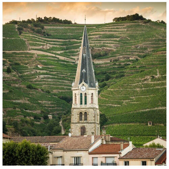 Rhone: Top to Toe - Kew Thursday 10th July