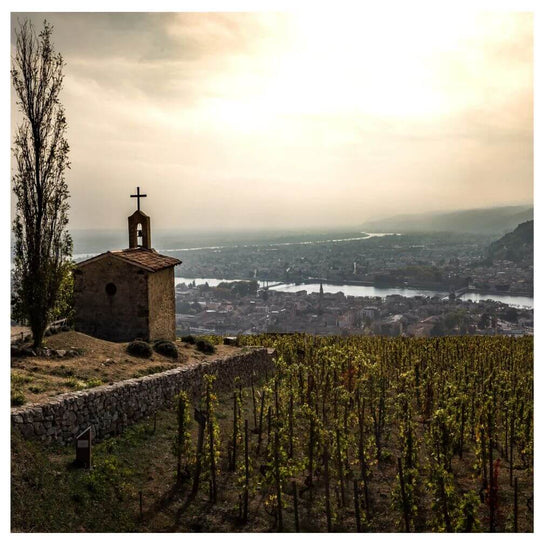 Rhone vs The World : Who makes it better? - Kew Thursday 19th September