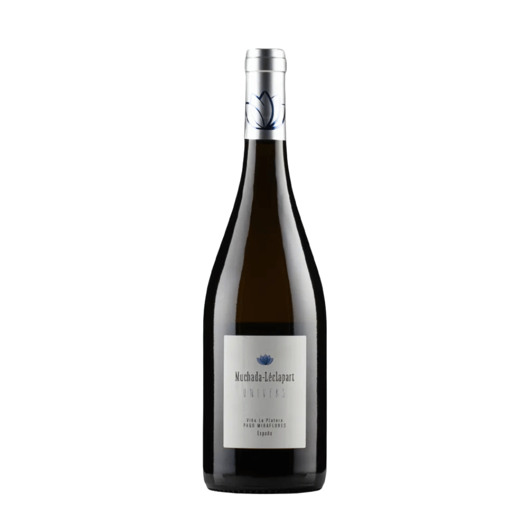 Muchada Leclapart, Univers 2020