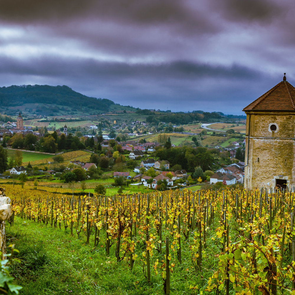 Jura Masterclass 19:40 - 20:30 Thursday 7th November 2024