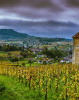 Jura Masterclass 19:40 - 20:30 Thursday 7th November 2024