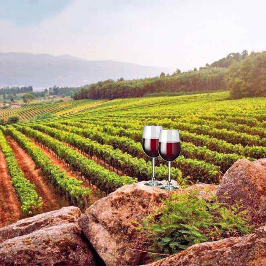 Sip & Savor Portugal – St Margarets Thursday 20th June