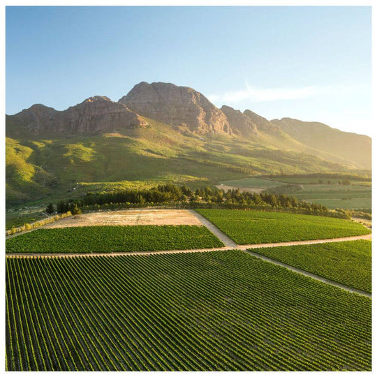 South Africa Producer Spotlight - Kew Thursday 10th October