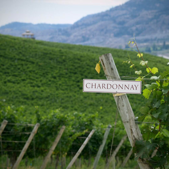 So you like...Chardonnay?  – 14th September – Kew