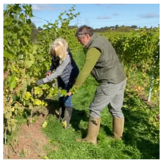 Table Talk & Tasting - Jane & Martin Wilcox of Pattingham - St Margarets 27th February
