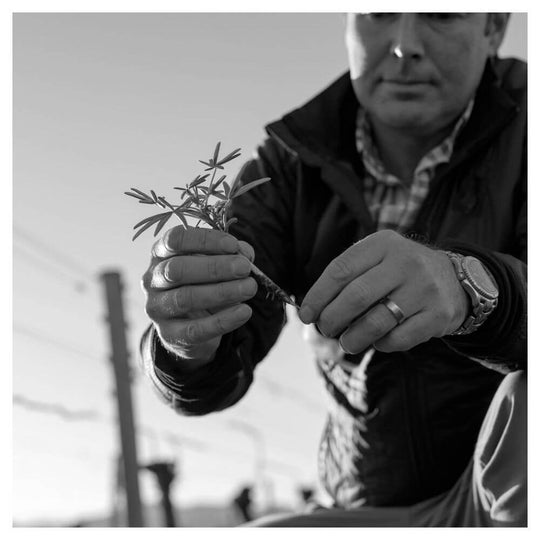 Table Talk & Tasting - Rachel & Will Hoare of Novum - Richmond 21st May