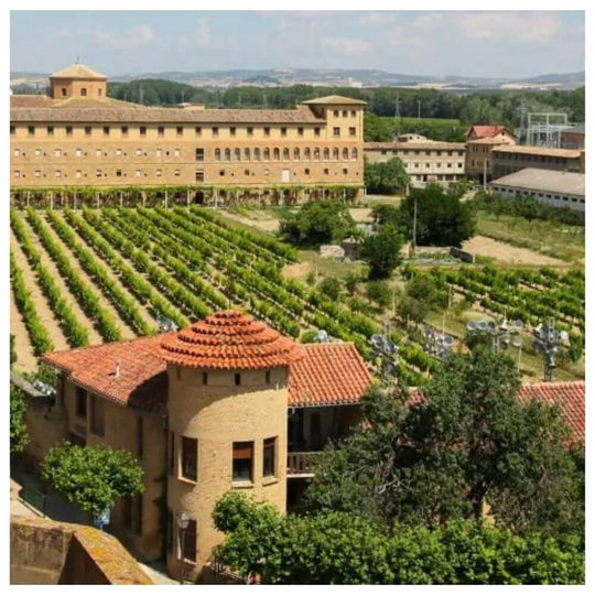 The Great Wines of Spain – Richmond Thursday 26th September