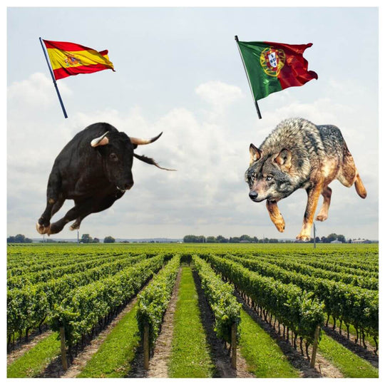 The Iberian Showdown: Portugal vs. Spain - Teddington Wednesday 28th May