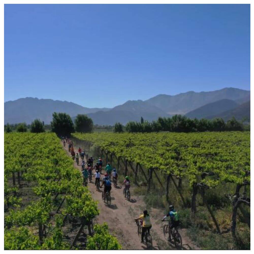 The Wines of Pan America – Richmond Thursday 17th July