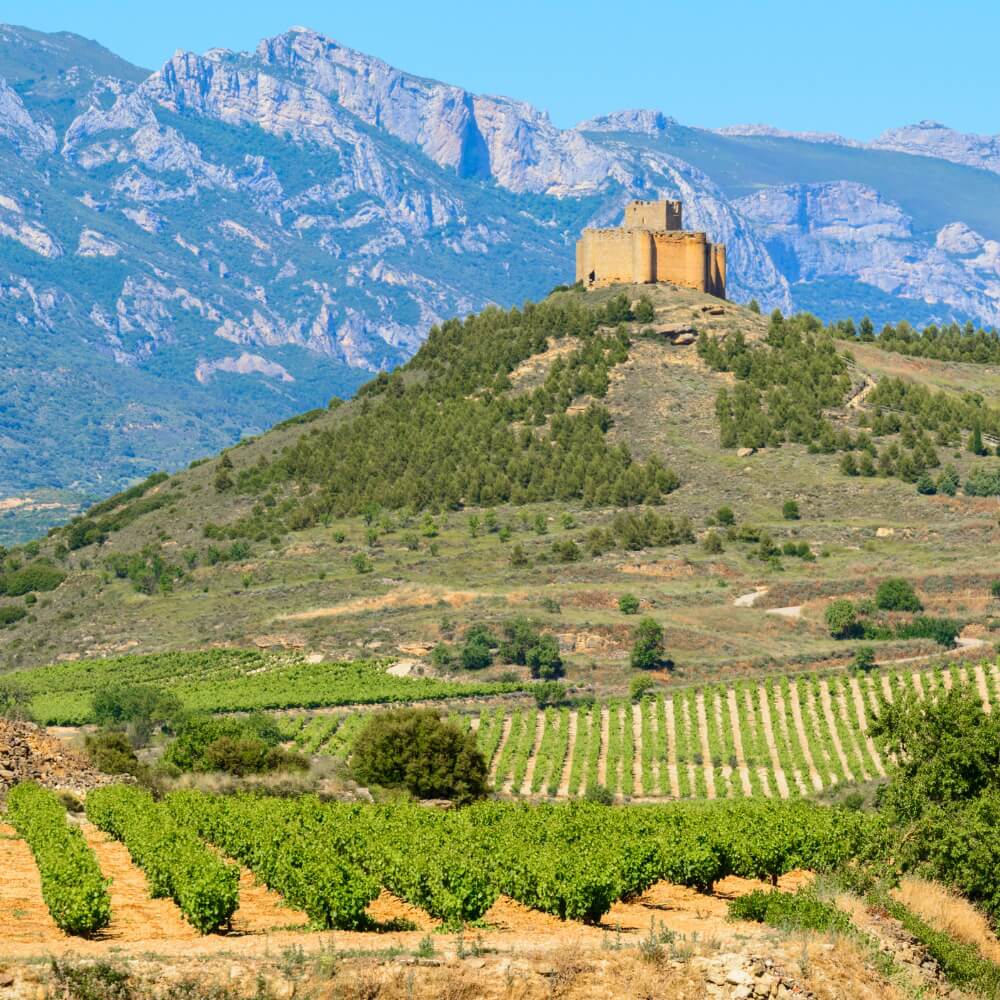 Iberia: Our Favourites from Rioja to Douro - St Margarets Thursday 2nd July 2026