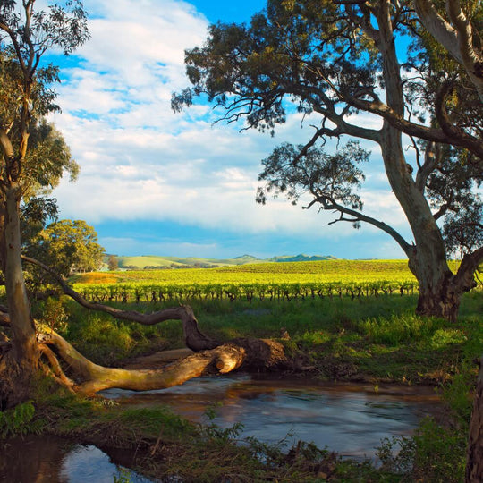 Australia – 25th May – Chiswick