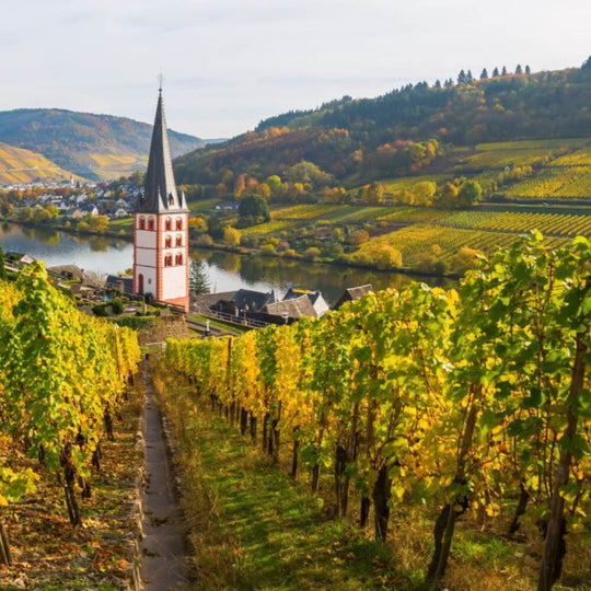 Germany: A Tale of 2 Rivers (Mosel & Rhine) – 16th March – Richmond