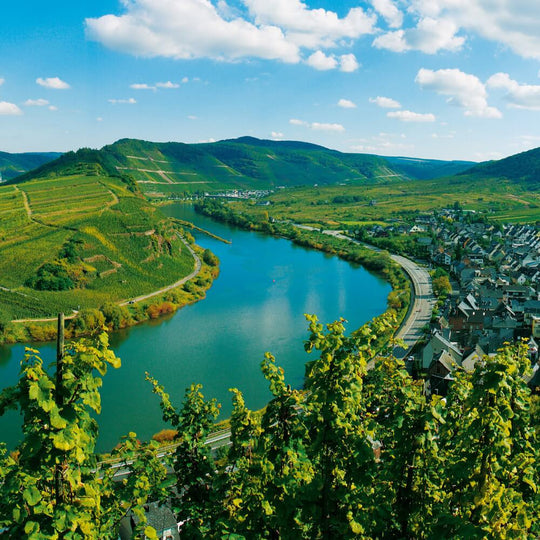 Germany Re-discovered – 9th March – Chiswick