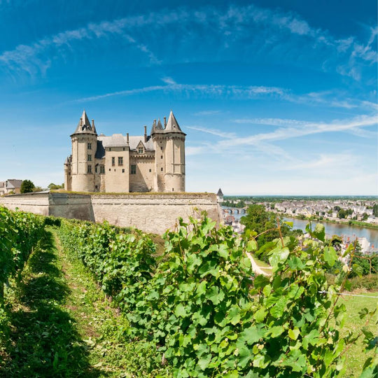 Journey up the Loire  – 23rd February – Chiswick