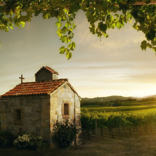 Napa vs Bordeaux – 20th April – Richmond