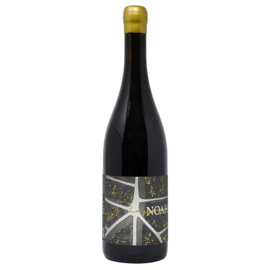 Noah, Lessona, Piedmont 2019