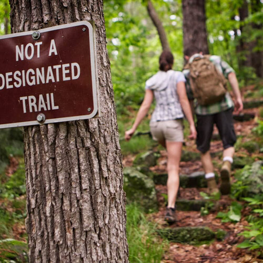 Off-the-beaten Track: France – 11th May – Richmond