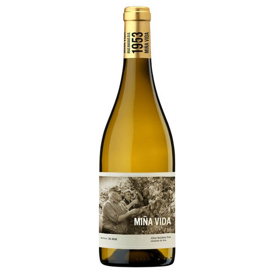 Pazo Pondal, Mina Vida 2023