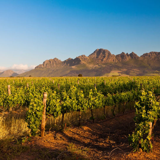 South Africa – 16th February – Richmond