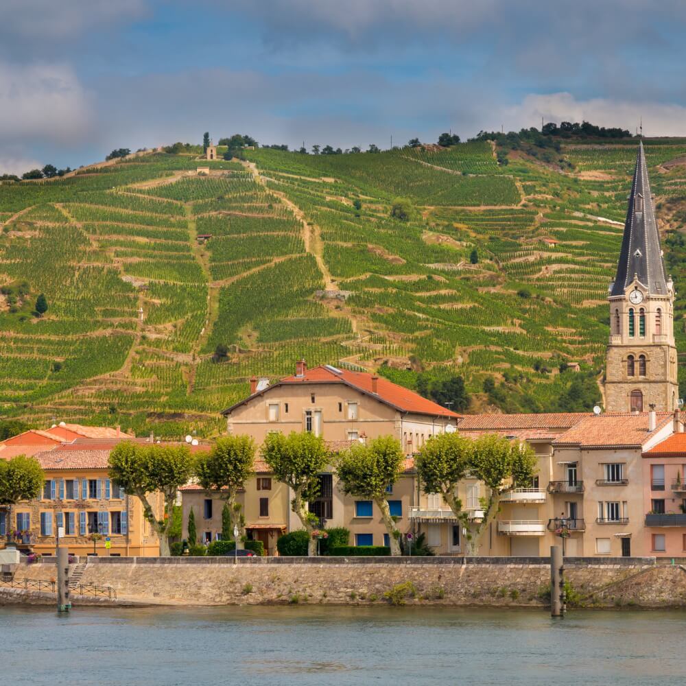 The Rhone Valley – 26th April – Kew