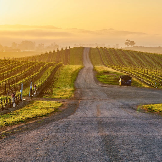 USA - Wines from the Golden State – 25th May – Teddington