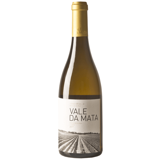 Vale Da Mata, Lisboa Branco 2021